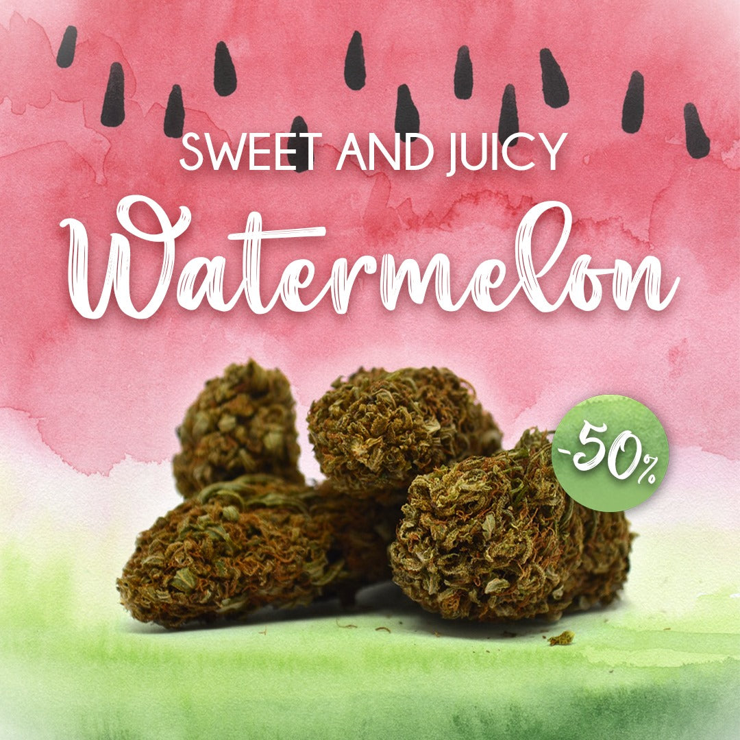 🍉 50% POIS MEIDÄN UUSI CBD KUKKA 🍉