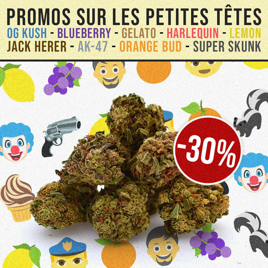 ¡30% de descuento en todos nuestros Little Heads CBD !