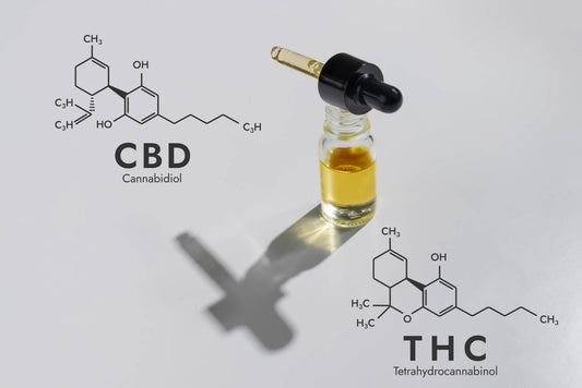 THC och CBD: Vilka är skillnaderna mellan dessa molekyler?