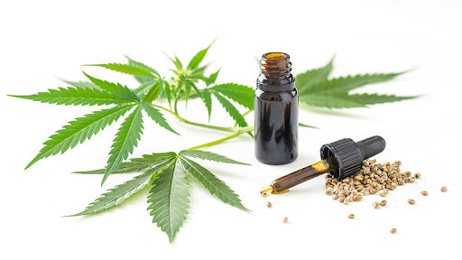 Konoplja, CBD kanabisa, od cvijeta do sjemena konoplje