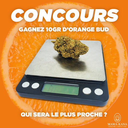 🍊 KONKURS ORANGE BUD 🍊