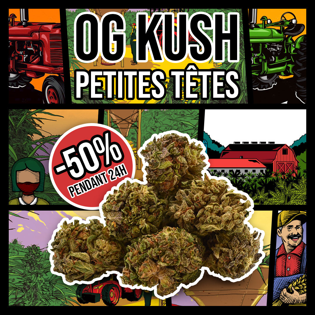 Mama Kana Promo -50% de desconto OG Kush CBD ! 👮