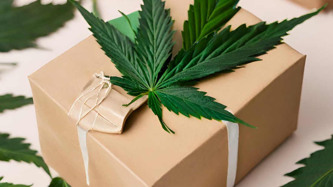 Win CBD products every weekend with our competitions!