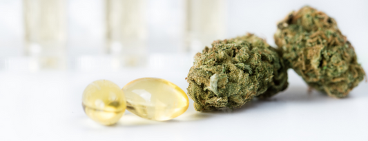 Comment bien choisir vos gélules CBD ?