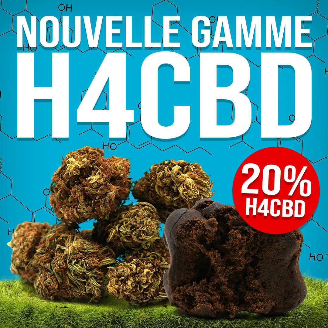 Új virág- és gyantaélmény a H4CBD-vel