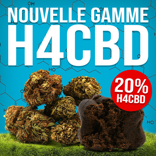 Une nouvelle expérience florale et résineuse avec les H4CBD