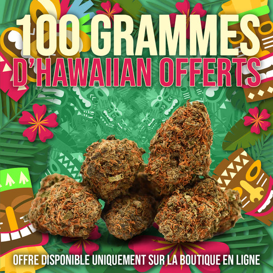 100g de fleurs CBD offerts cet été ! 🌴