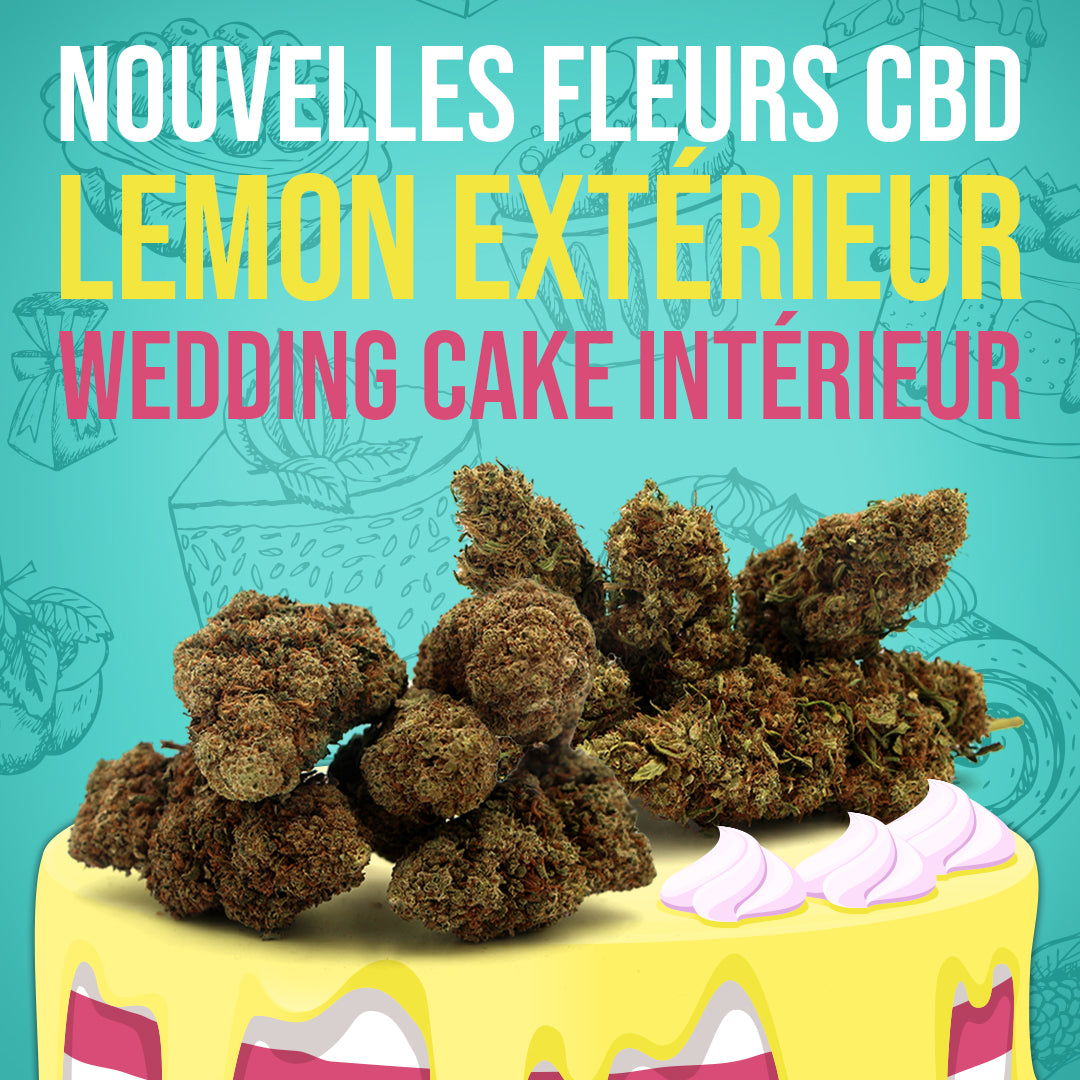 Découvrez nos nouvelles fleurs CBD ! 🌿