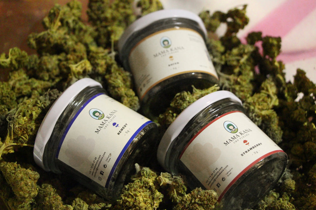 Mama Kana uvádí na trh květiny CBD!