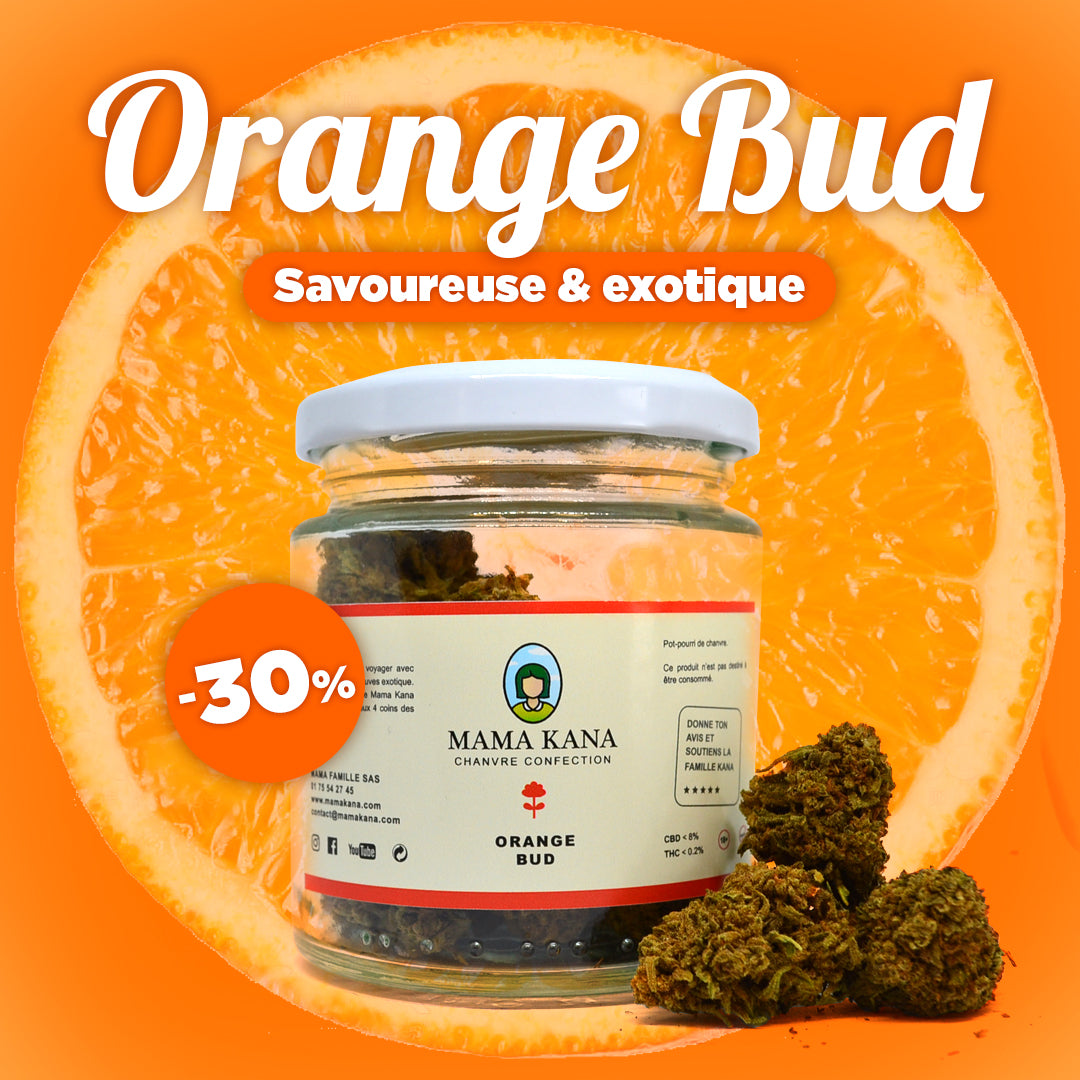 🍊 MAMAKANA FLOWERS CBD - OBTENHA 30% DE DESCONTO EMORANGE BUD 🍊