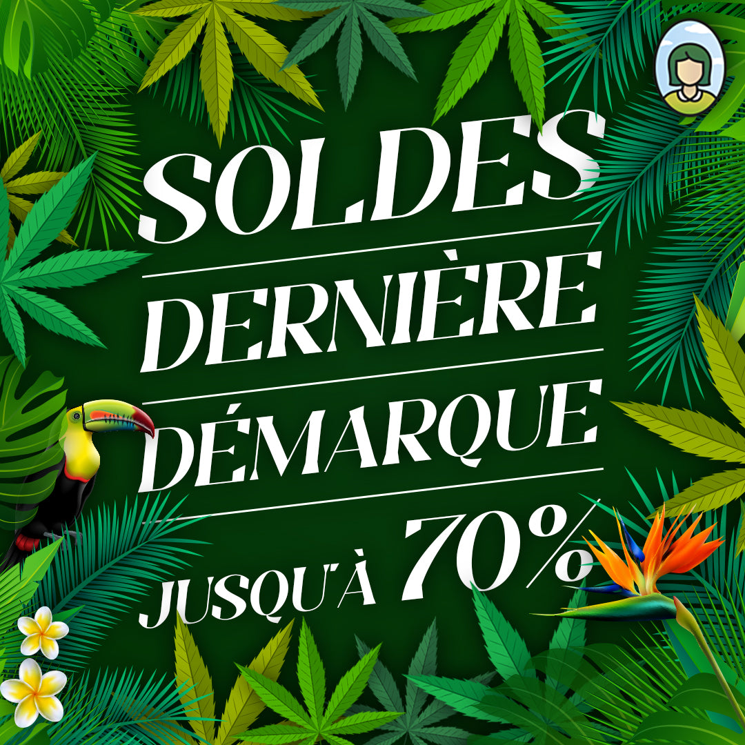 🌿 VENDITA: ULTIMO RIBASSO - FINO AL 70% DI SCONTO SUI NOSTRI FIORI CBD, RESINA, OLI... 🌿