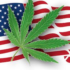 CBD-renessanssi Yhdysvalloissa