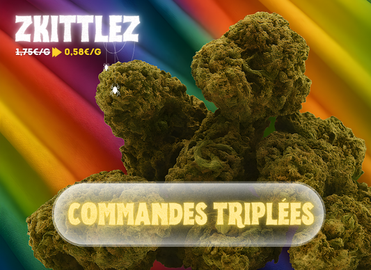 Black November - Jour 1 : Zkittlez TRIPLÉE