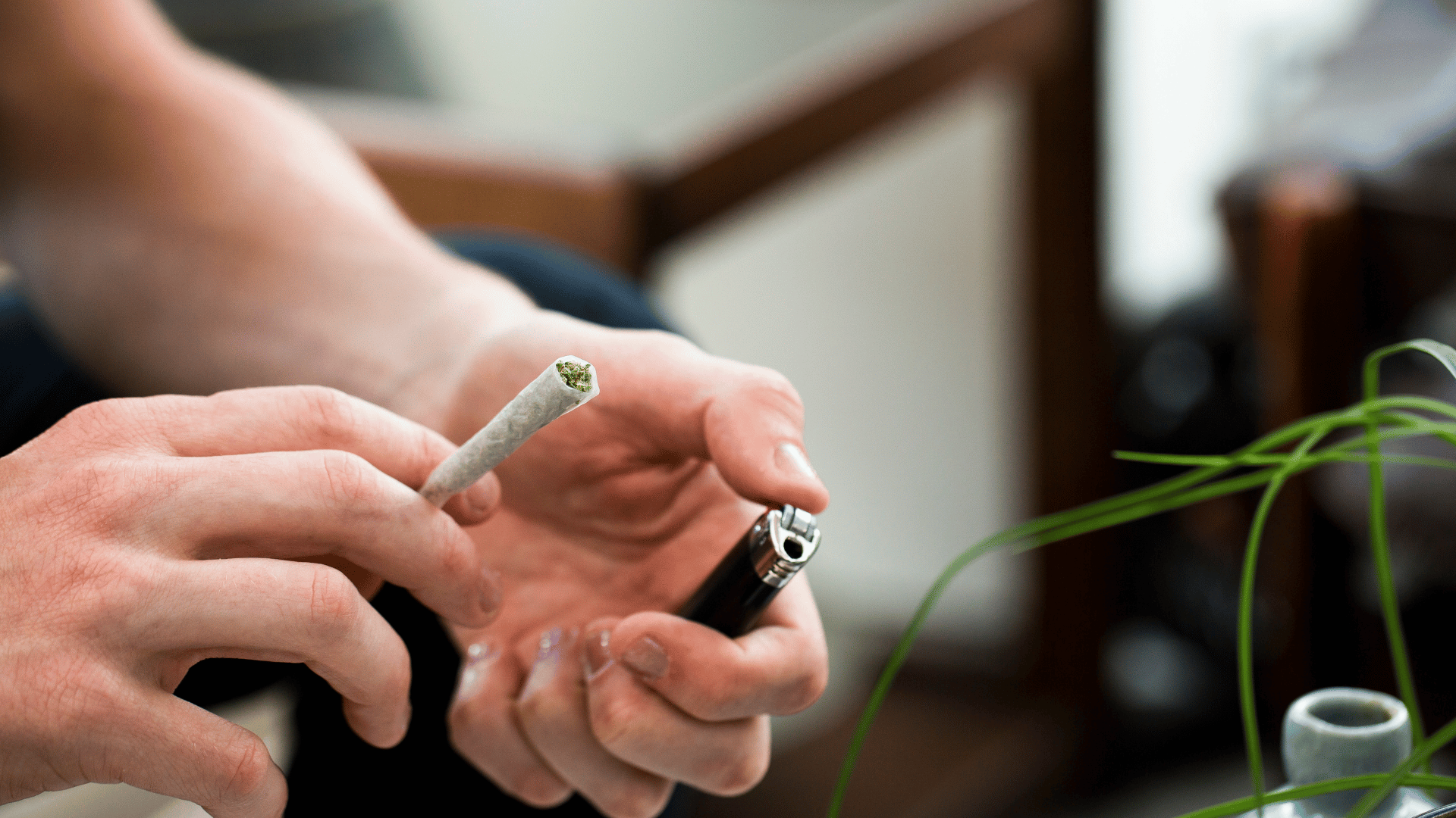 Comment le CBD peutil aider à gérer la charge mentale — free download