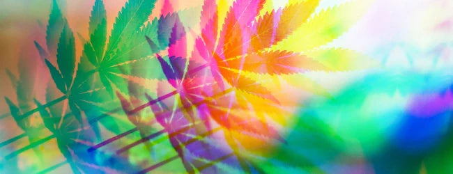 Cosa sono i cannabinoidi sintetici?