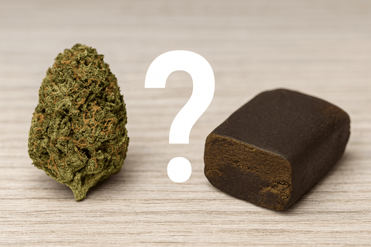 Cannabis harts vs blomma