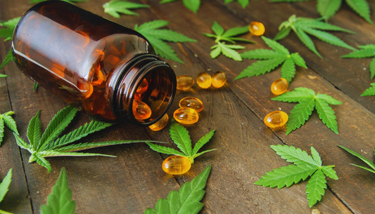cbd gelules