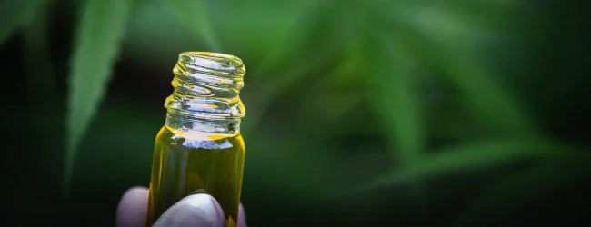 CBD olaj