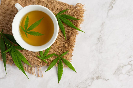 Ökningen av CBD-infusioner