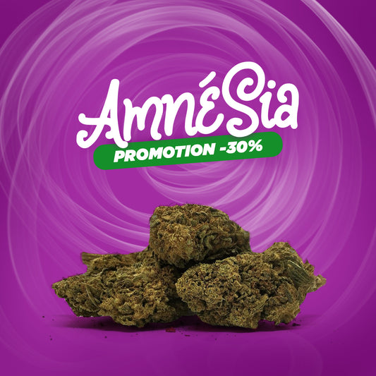 -30% auf die Amnesia 🌌.