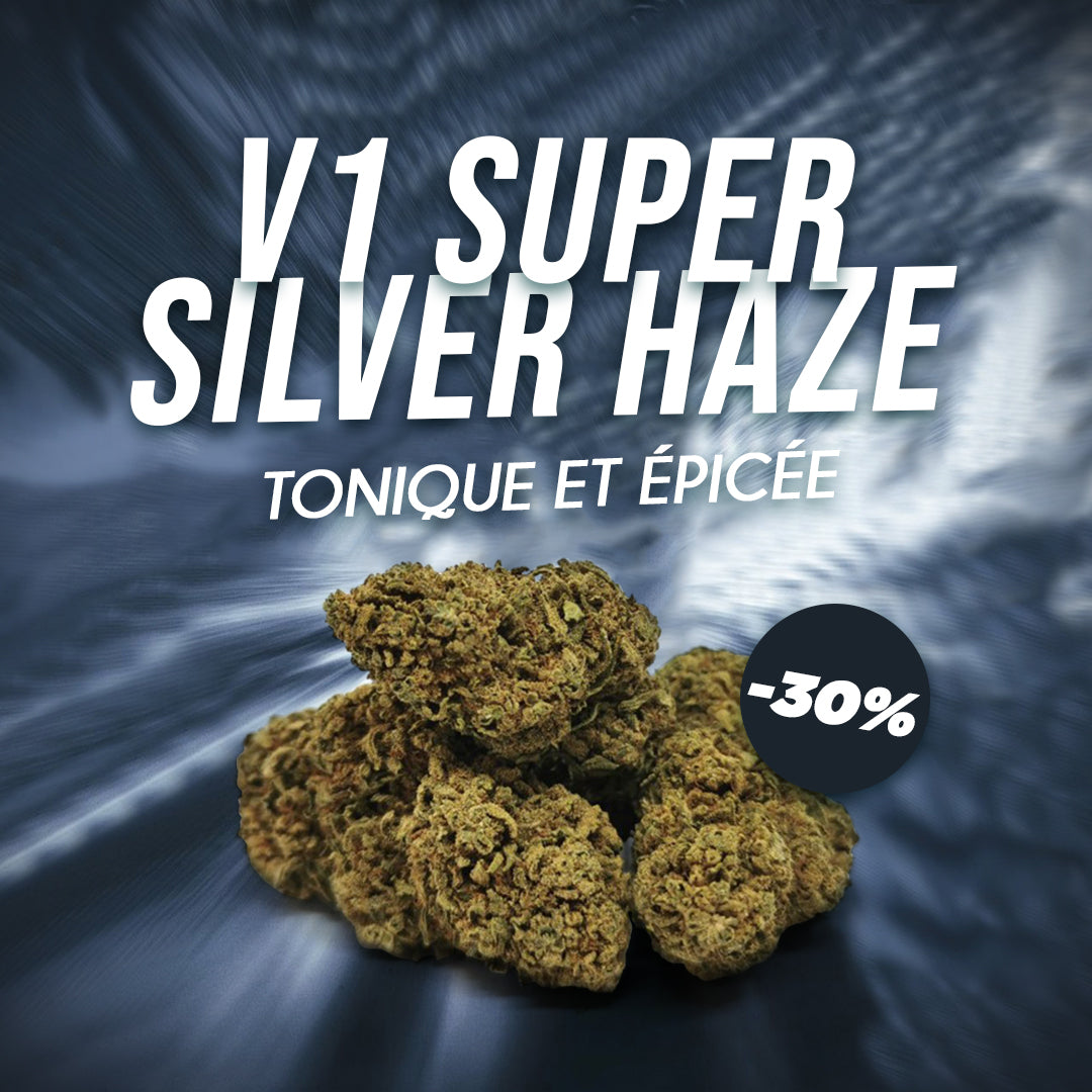 🦾 CBD KUKKA TARJOUKSET - SAAT 30% POIS V1 SUPER SILVER HAZE 🦾