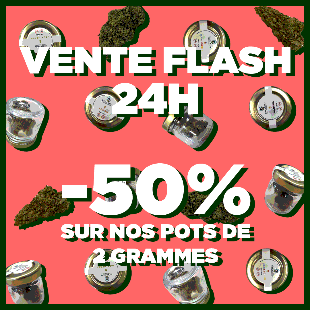 ⚡ FLASH SALE CBD FLOWERS - 50% DISCOUNT ON OUR 2 GRAM POTS ⚡