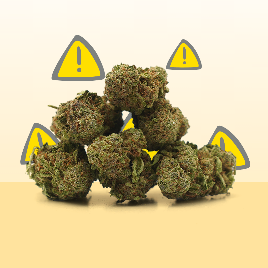 Critical CBD ⚠ [intérieur]