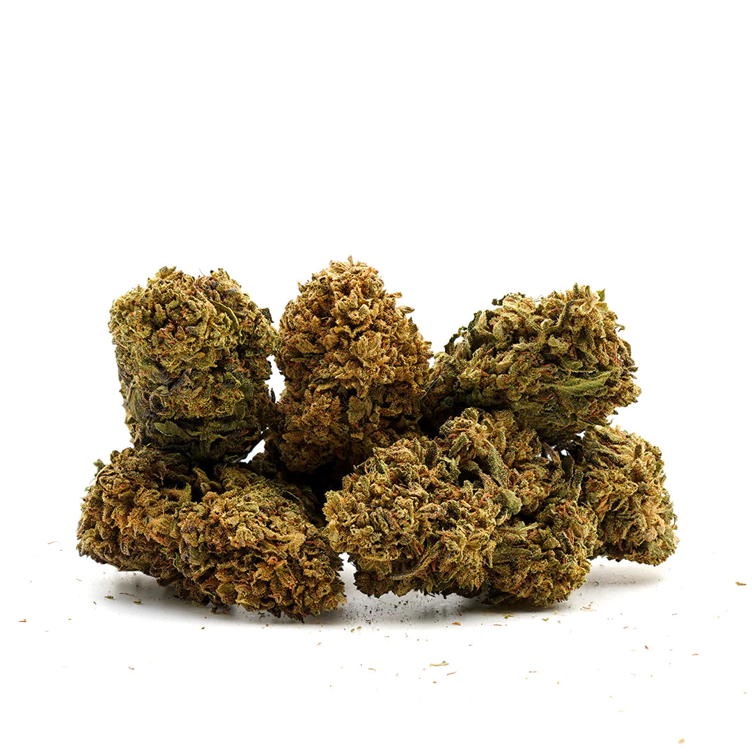 Gelato - Échantillon