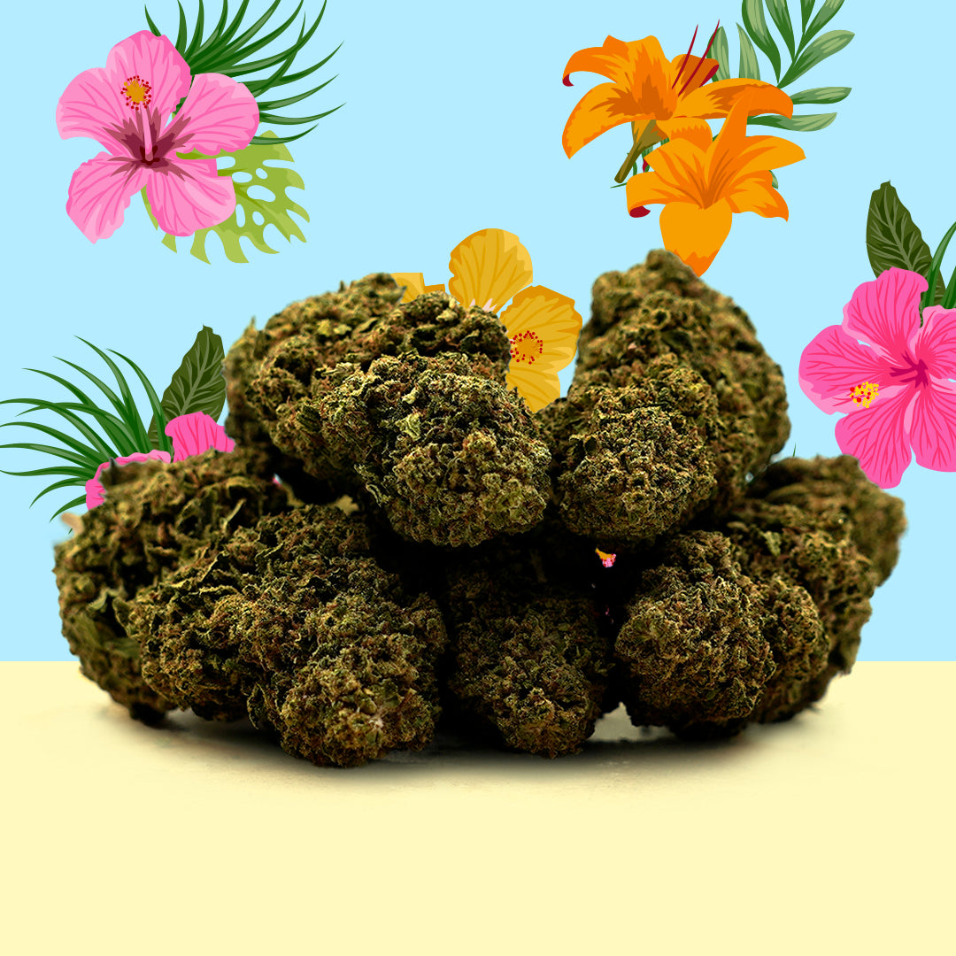 hawaiian fleur cbd