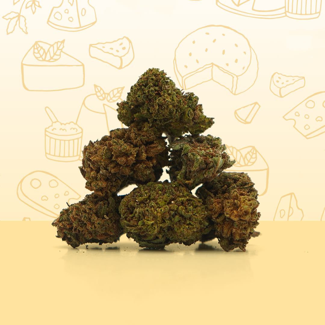 Cheese CBD Small Buds