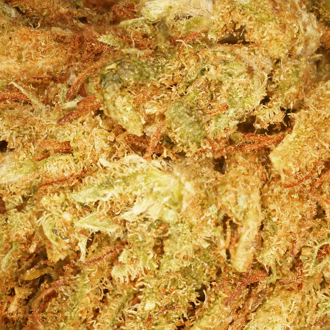 Lemon CBD Small Buds đ