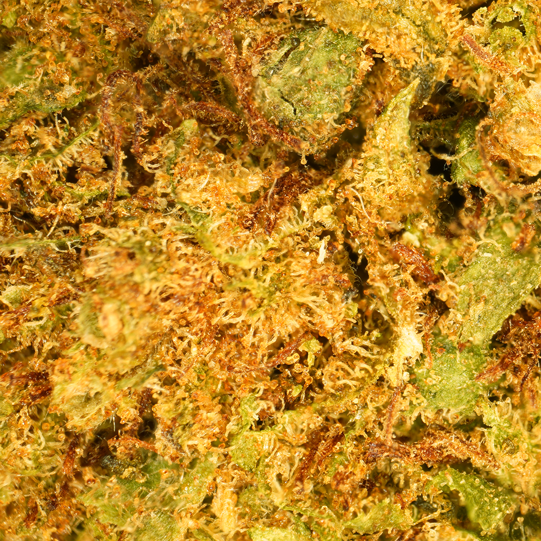 OG Kush CBD Small Buds 👮