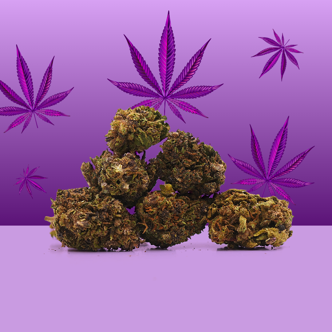 Purple Haze CBD Small Buds