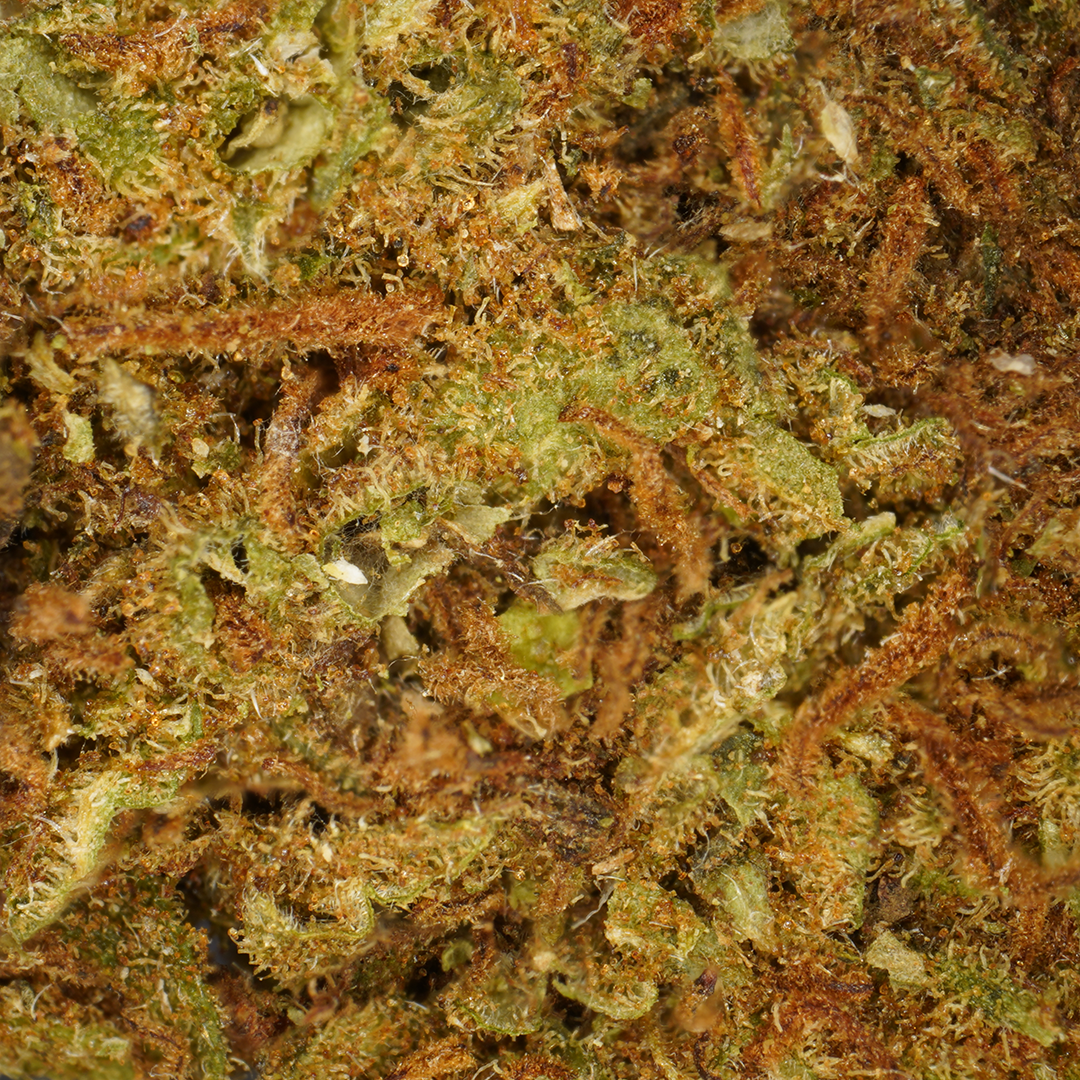 Strawberry CBD Small Buds đ