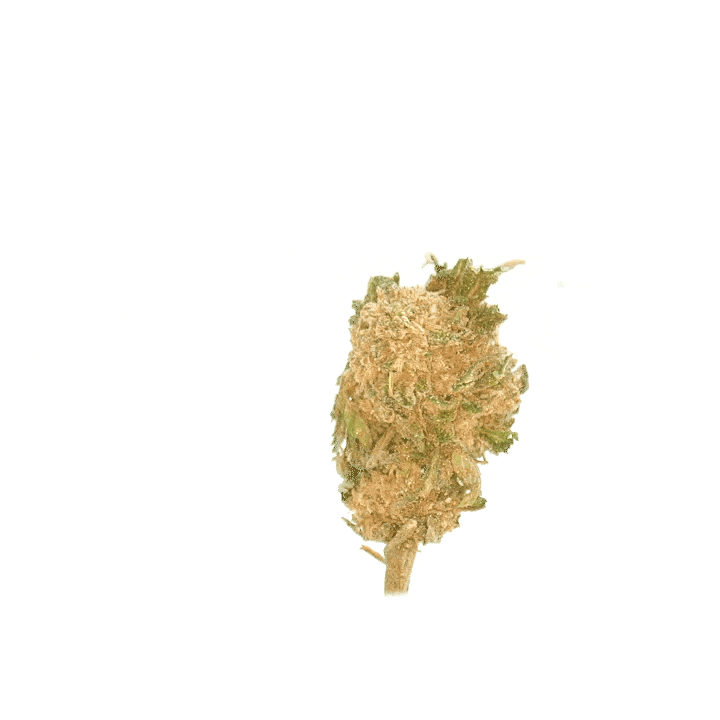 Cali Grape CBD Small Buds 🍇