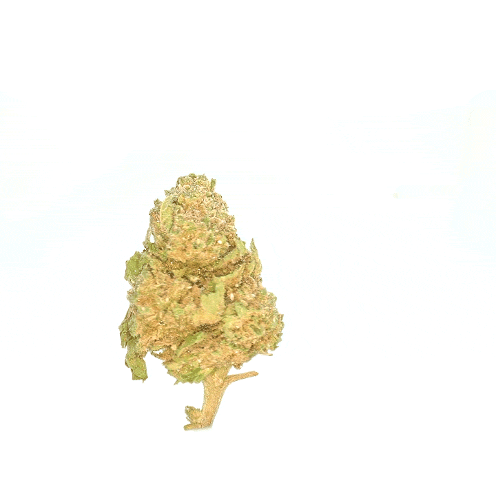 Hawaiian CBD Small Buds 🌴