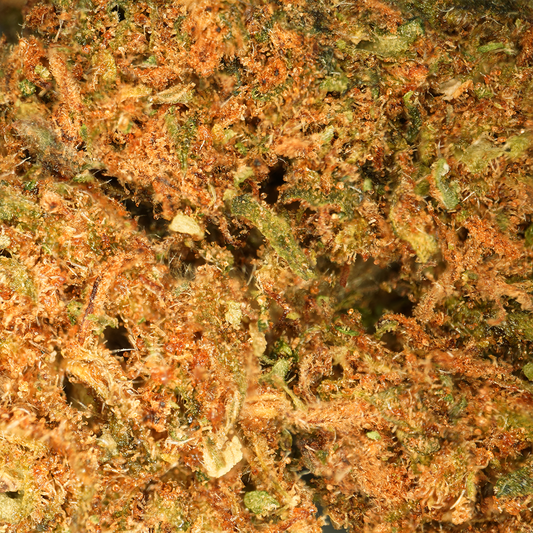 Amnesia CBD Small Buds 🌌