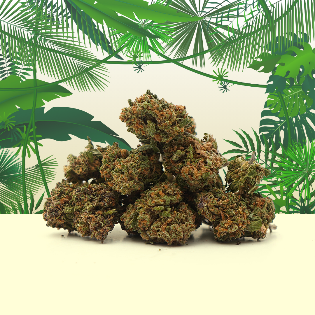 Tropical Haze CBD Small Buds