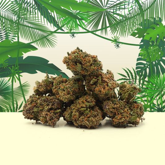Trópusi Haze CBD Small Buds🌴