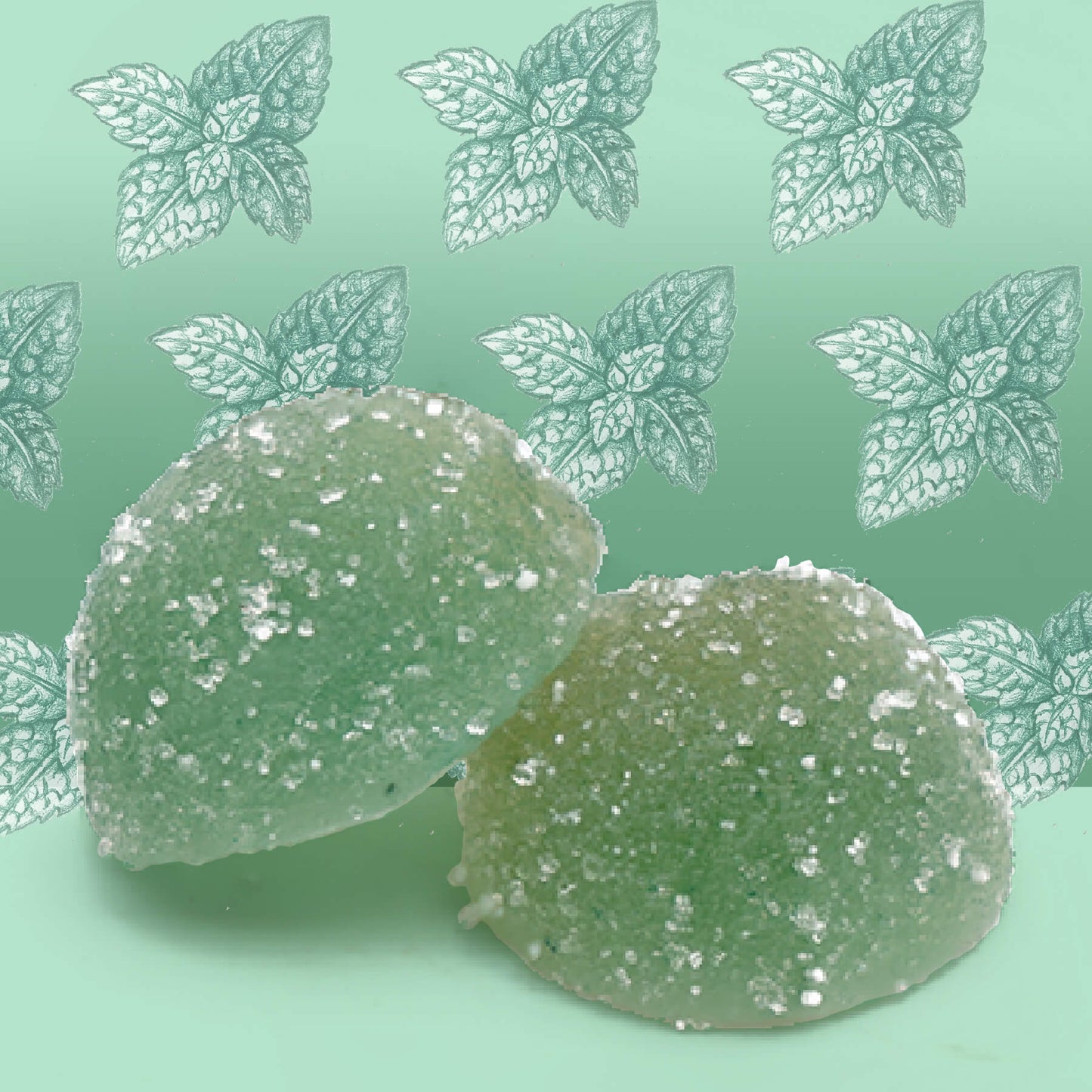 CBD & THC Bonbons - Minzgeschmack