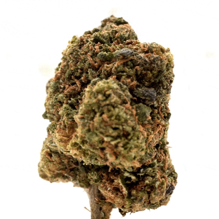 v1 silver haze fleur cbd