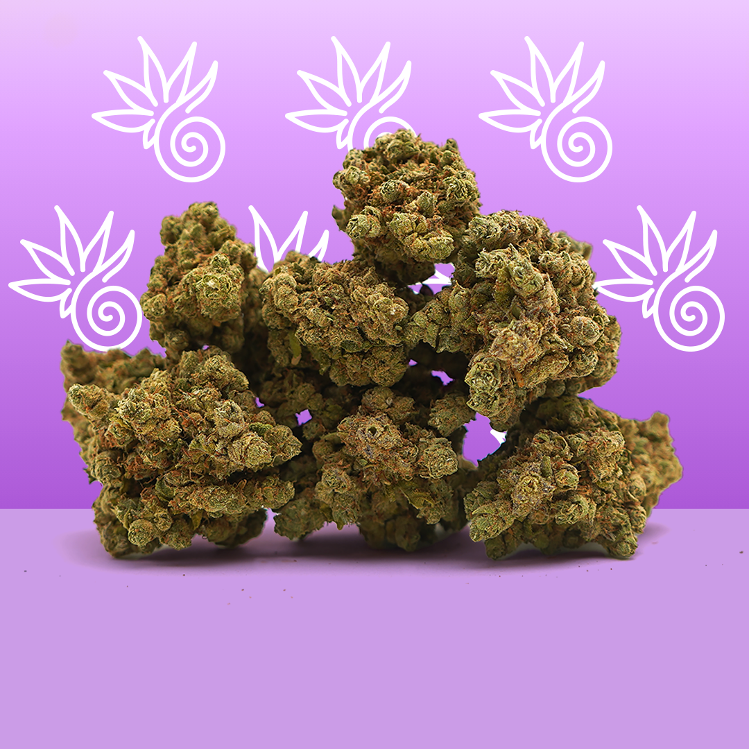 Amnesia CBD Hydroponique Fleur de CBD naturellement puissante Amnesia CBD Hydroponique Fleur de CBD naturellement puissante