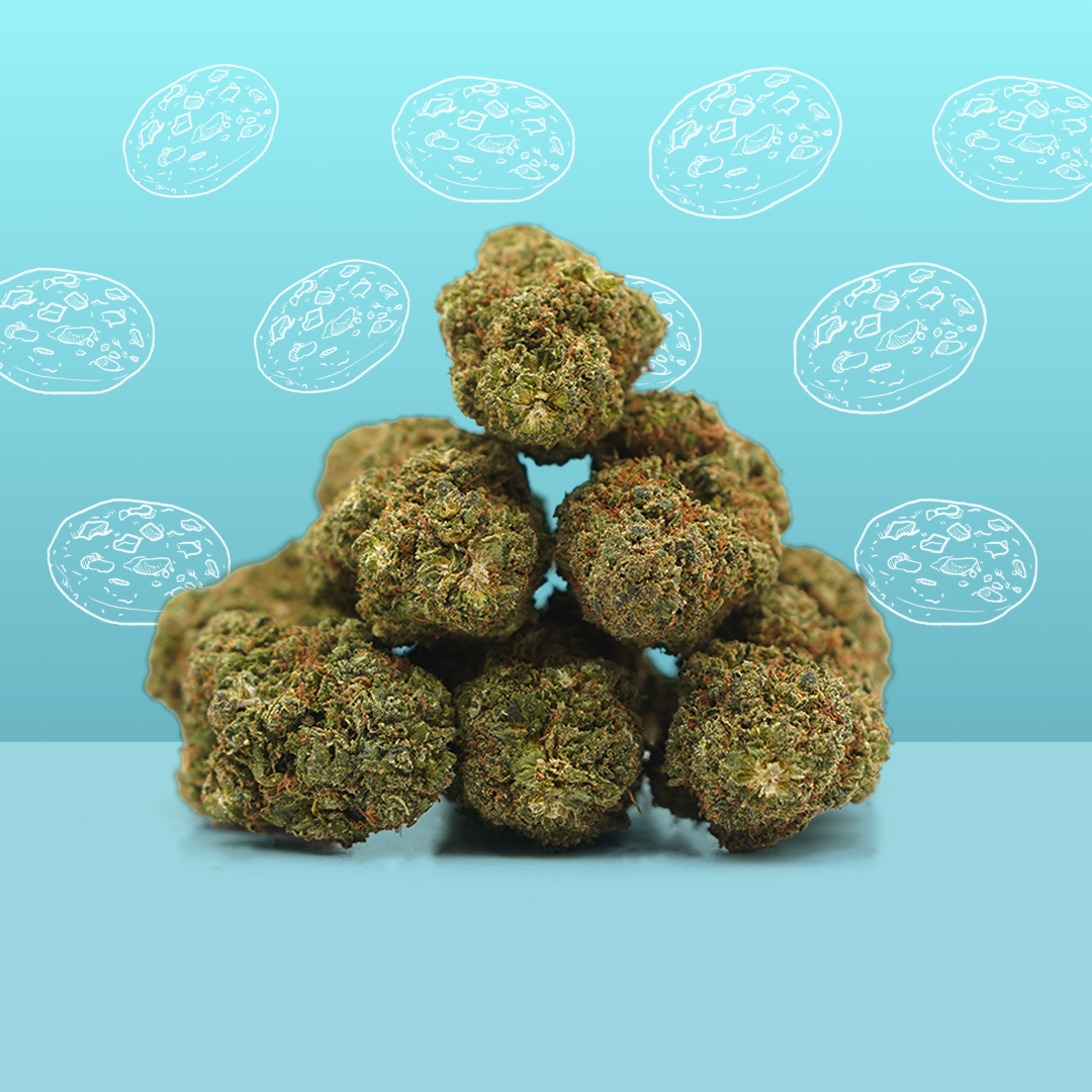 Cookie Kush CBD Indoor - Fleur premium relaxante Cookie Kush CBD Indoor - Fleur premium relaxante