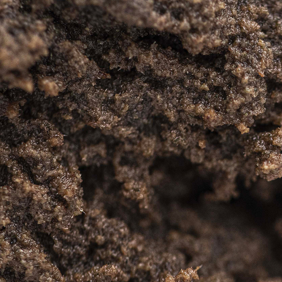 Holy Hash CBD 20% + CBN 20% 😇