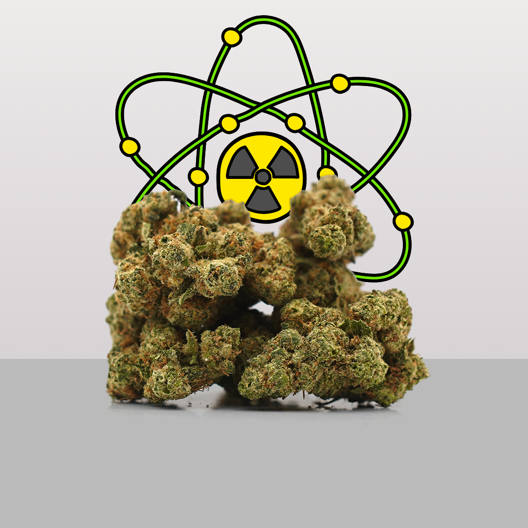 Plutonium ☢ [hydroponique]