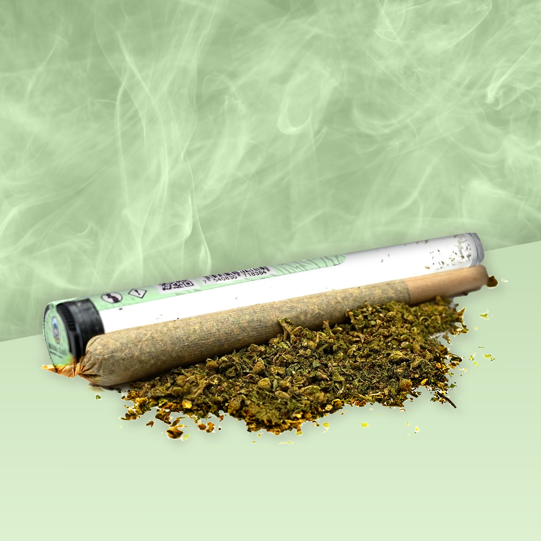 🎁 Pre-roll Amnesia CBD ⚜ (100% off)