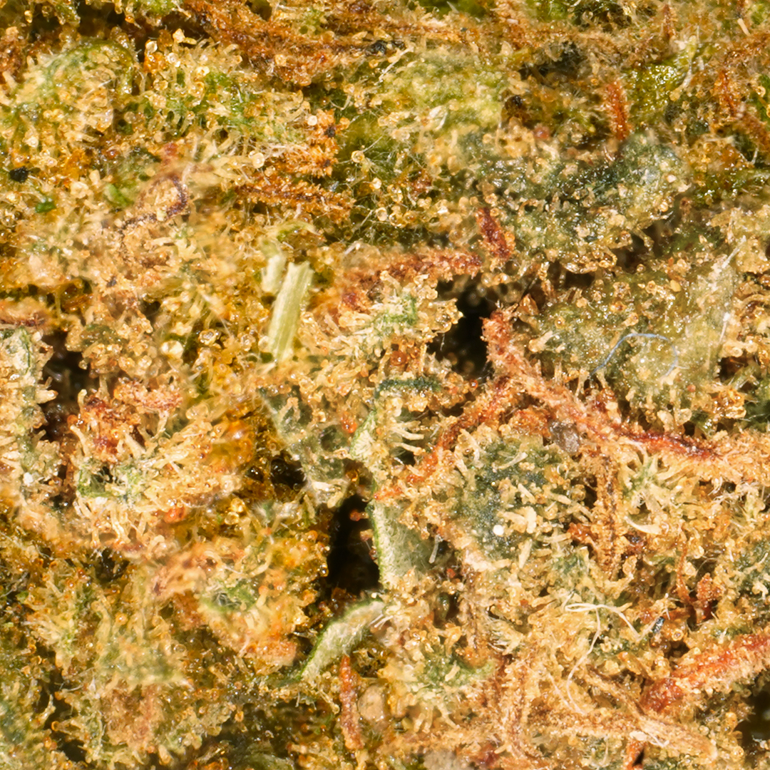 Hawaiian CBD Small Buds 🌴