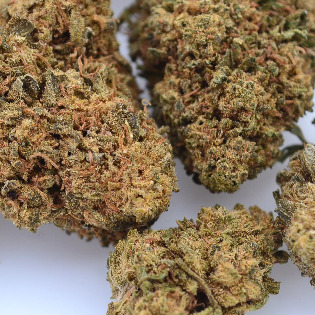 Orange Bud CBD Small Buds 🍊