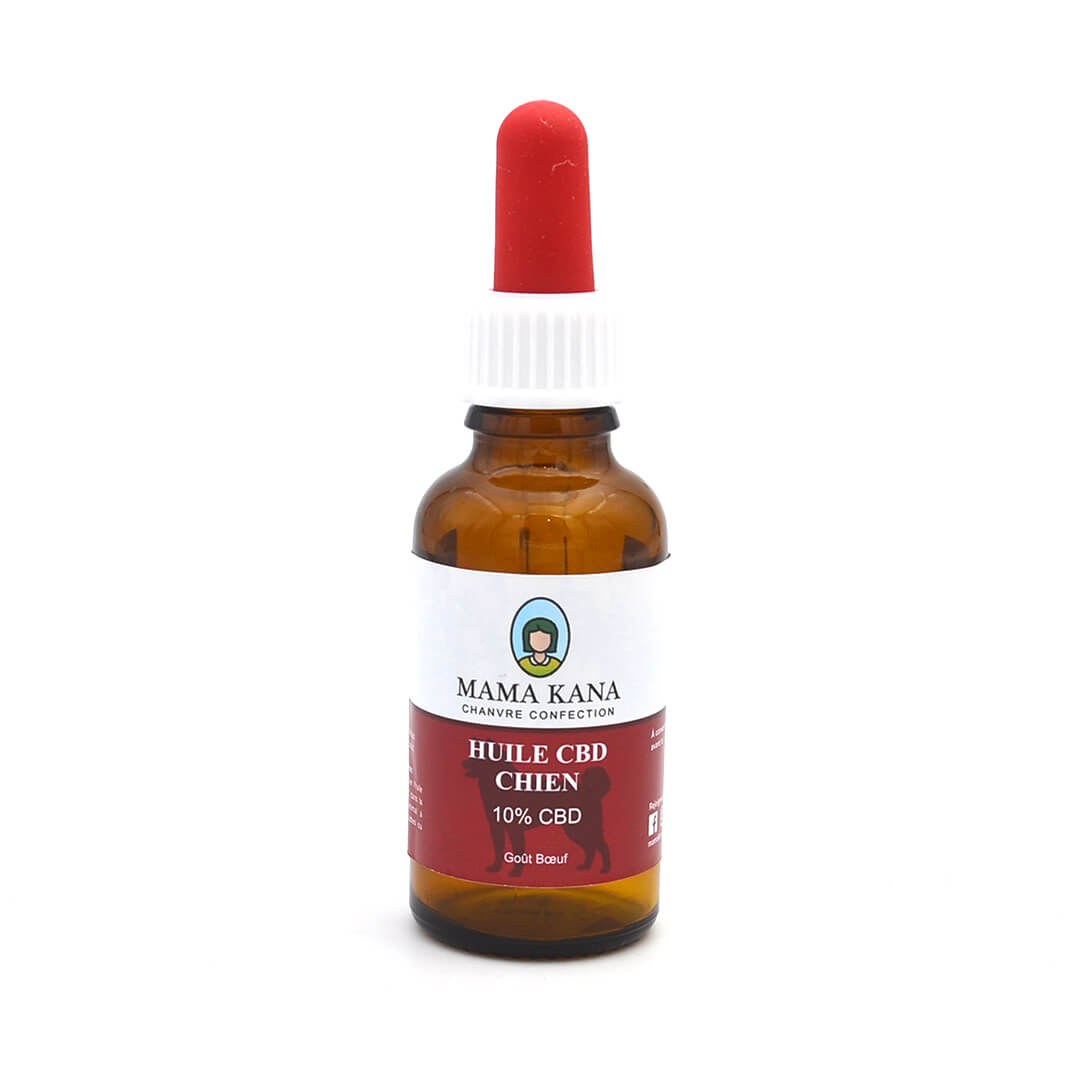 huile cbd chien