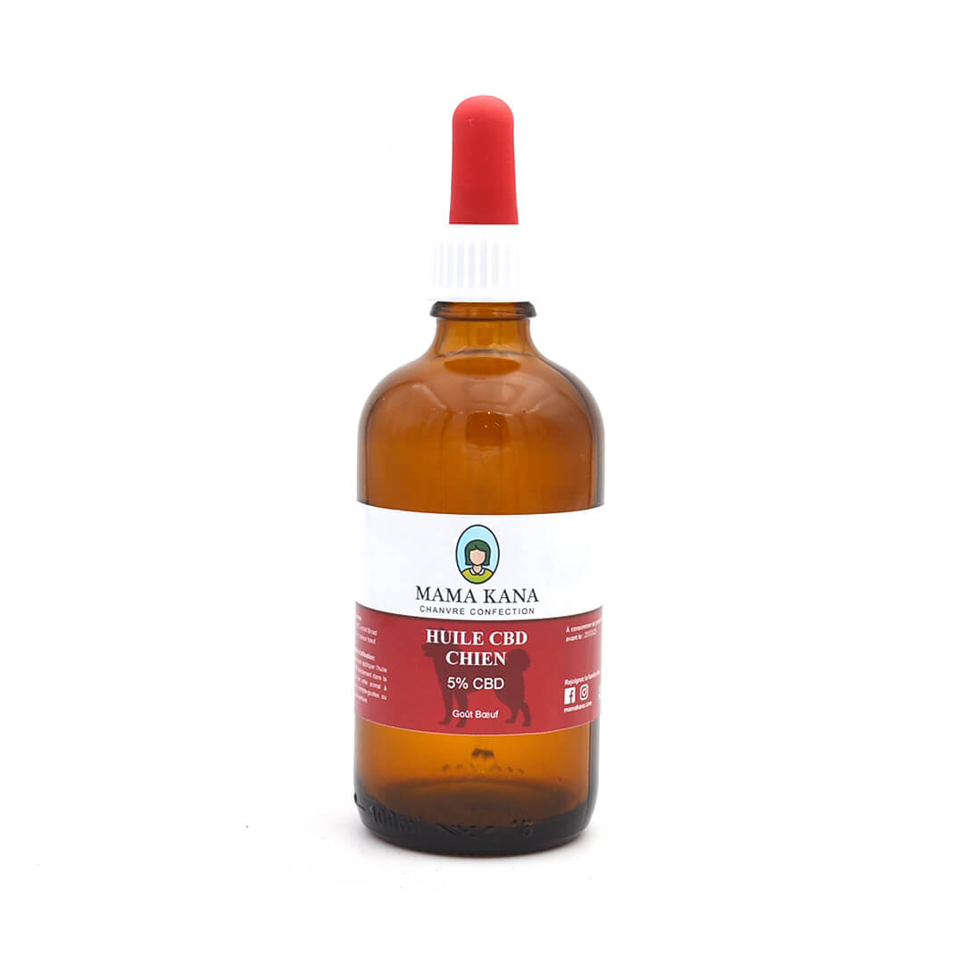 huile cbd chien